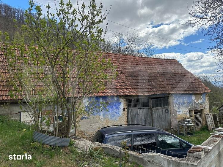 Casă cu 4 camere cu Teren 12186 Mp în Rapoltu Mare