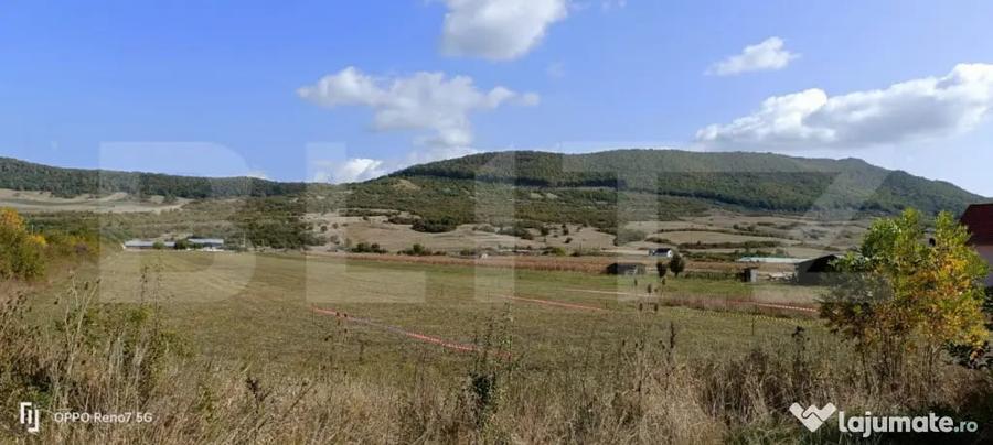 Teren 49 Ari, partial intravilan 13 ari, cu deschidere la DN - Bistrita (Bistrita-Nasaud) - 5