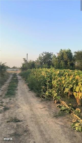 Teren Intravilan Giurgiu,Ocazie!Pret mic! - 3