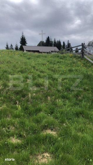 Teren de 38000 mp, în Tiha Bârgăului