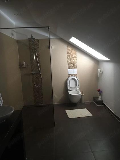 Casa de vanzare cu domeniu generos de 5.000 mp (50 ari) Geoagiu, Hunedoara - 4