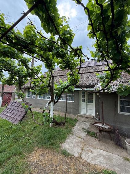 Casă cu 3 camere în Diosig