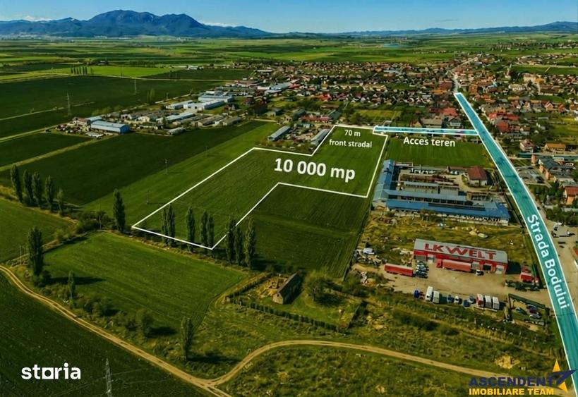 Teren de 10000 mp, în Hălchiu