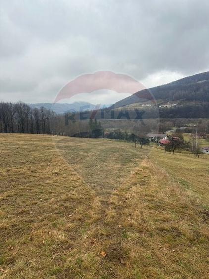 Teren Construcții intravilan de 7135 mp, în Negreni