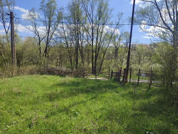 Teren intravilan de 1200 mp, în Provița de Sus