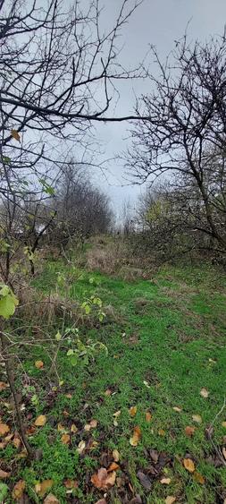 Casă cu Teren 1306 Mp în Murani
