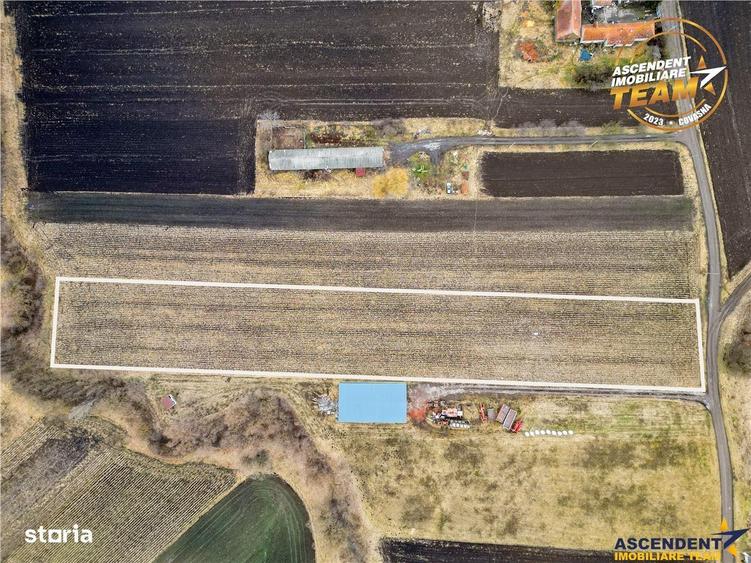 Teren de 5800 mp, în Ilieni