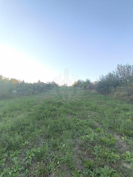 Teren Construcții intravilan de 3017 mp, în Plopu