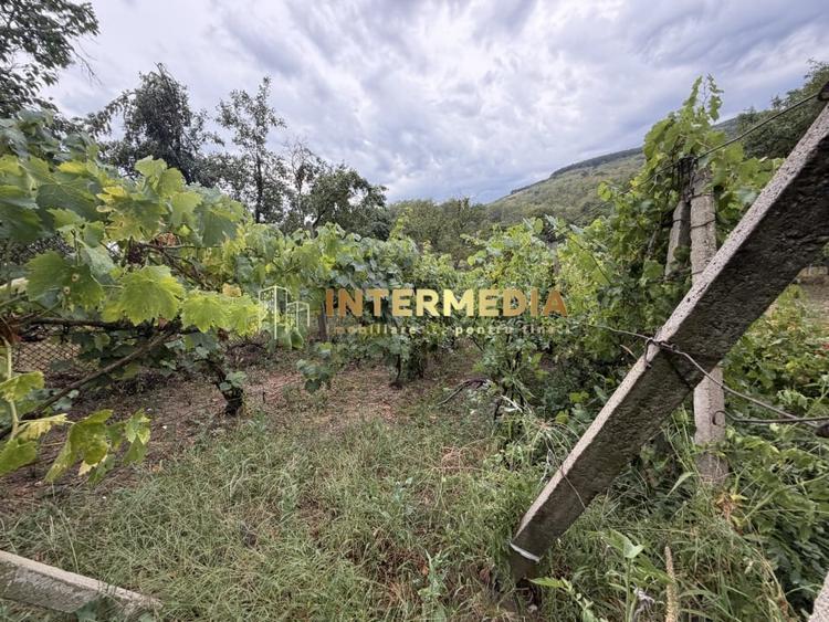 Casă individuală cu 3 camere cu Canalizare în Cricău