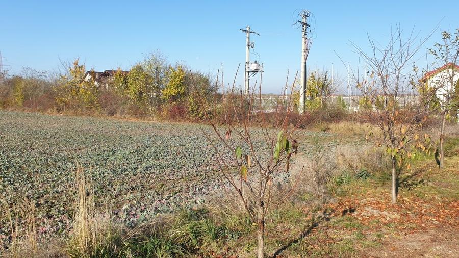 Teren Construcții intravilan de 14036 mp, în Balotești