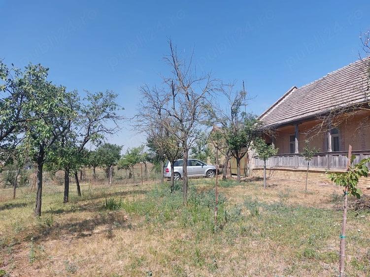 Casă cu 6 camere cu Teren 1480 Mp în Iecea Mare