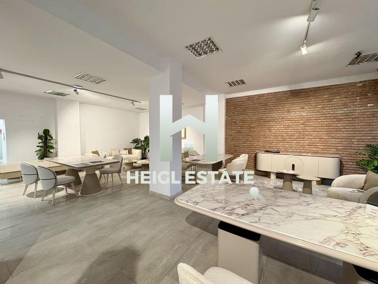 Spațiu comercial, de 470 mp, în Șagului