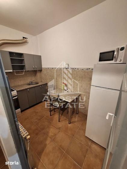 Apartament cu 1 camera , de inchiriat , Zona Lipovei , Timisoara - 3