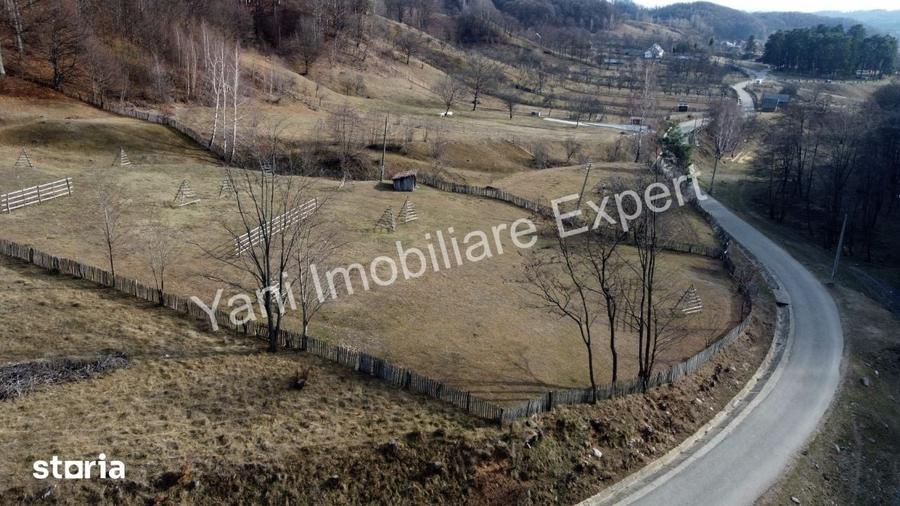 Teren de 4681 mp, în Cicănești