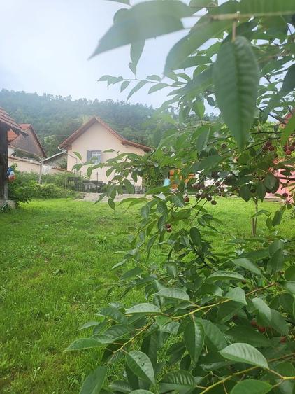 Casă individuală cu 3 camere cu Canalizare în Șeica Mare