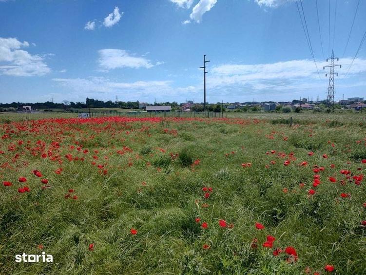 Teren de 1000 mp, în Agigea