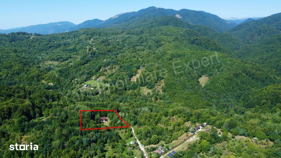 Casă cu 5 camere cu Teren 6842 Mp în Bradu