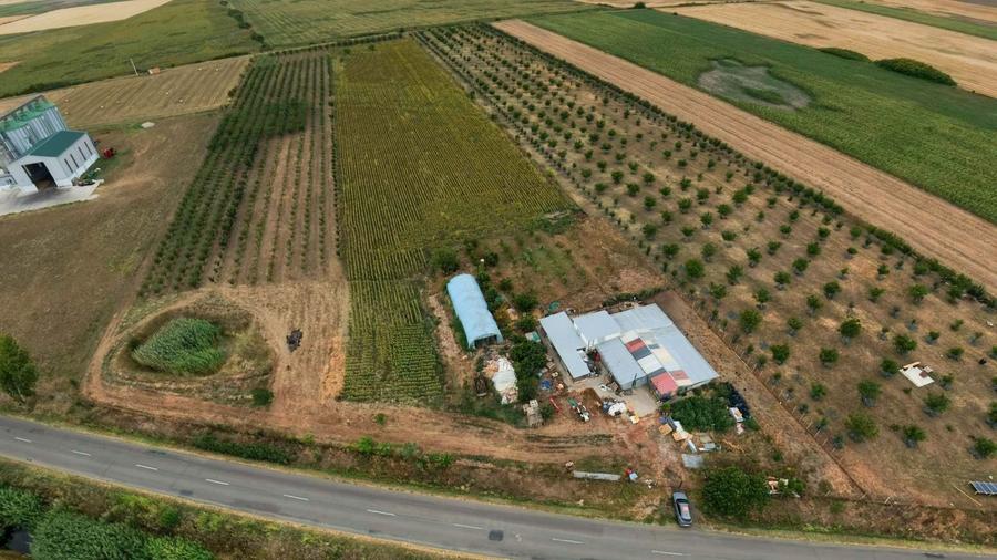 Teren agricol extravilan de 36000 mp, în Iratoșu