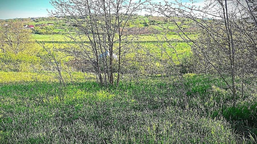 Casă cu Teren 1800 Mp în Cristești