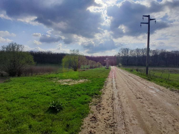 Teren Construcții intravilan de 3400 mp, în Buturugeni