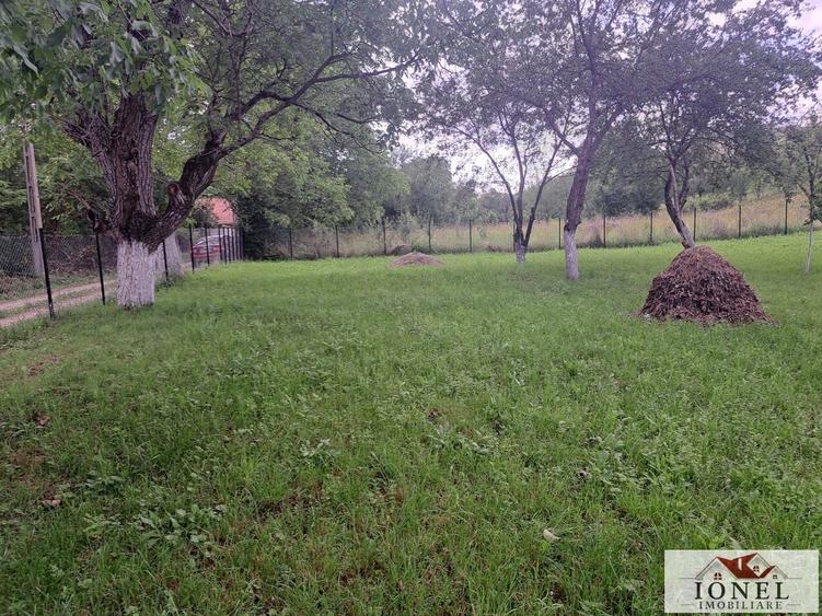Teren Construcții intravilan de 2400 mp, în Benic