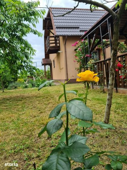 Proprietar, ofer spre vanzare vila in Corbeanca/Tama?i, langa padure - 1