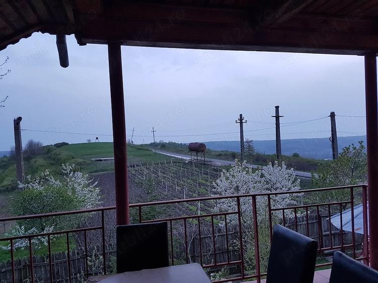Casă cu 15 camere cu Teren 6500 Mp în Sutești