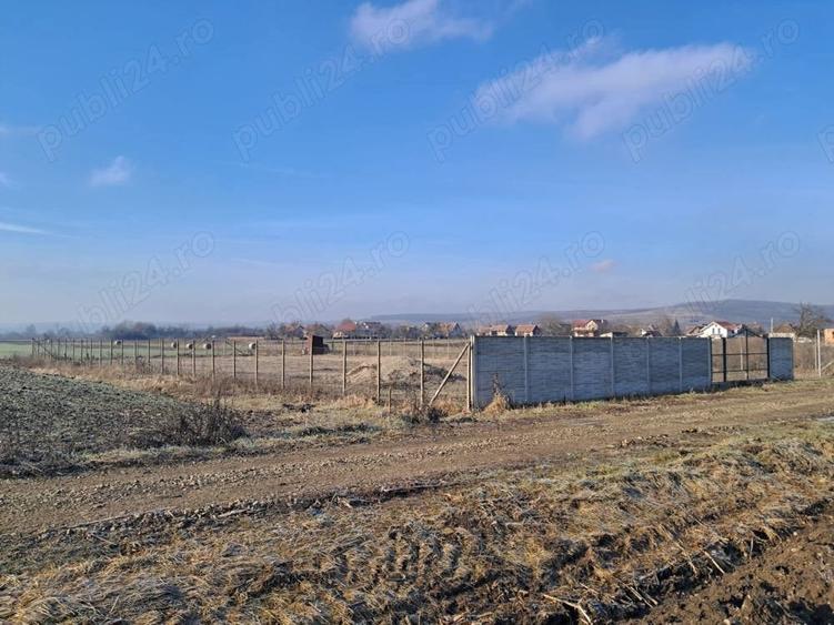 Teren de 8700 mp, în Livada (Iclod)