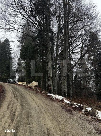 Teren de 4000 mp, în Sinaia