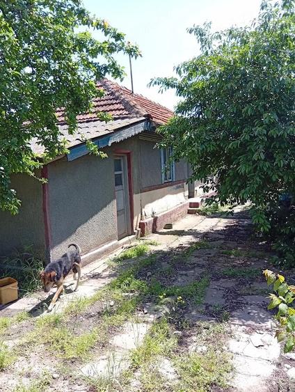 Vand casa (pentru loc mai mult !) batraneasca - 1