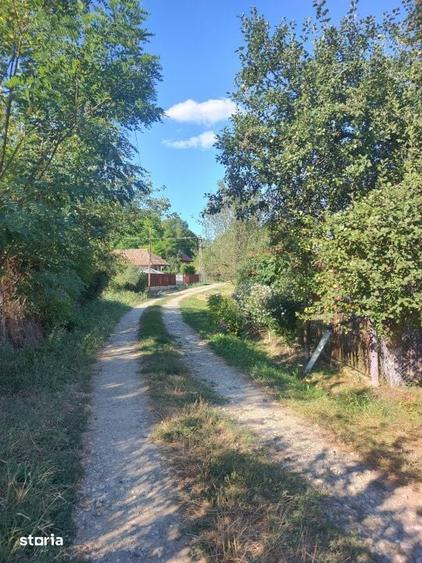 Teren de 1900 mp, în Țaga