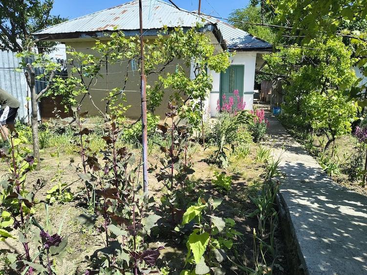 Casă cu 4 camere cu Teren 100 Mp în Exterior Vest