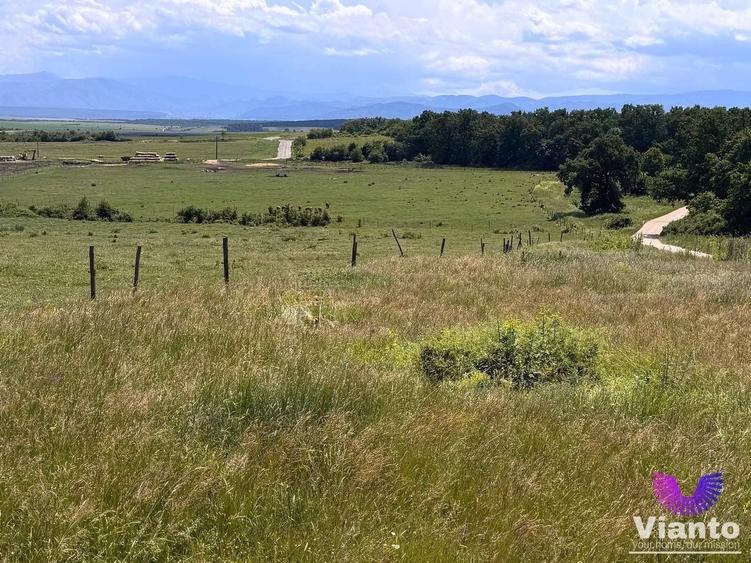 Teren Construcții intravilan de 582 mp, în Șura Mică