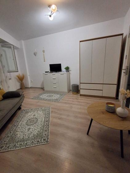 Inchiriere apartament cu o camera - 2