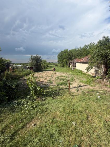 Teren de 2000 mp, în Iepurești