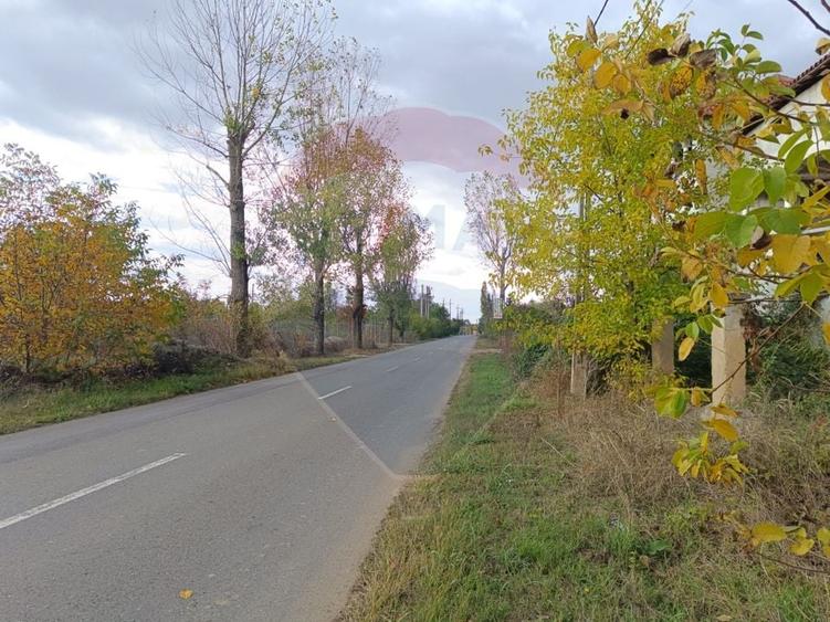 Teren Construcții intravilan de 2056 mp, în Ciolpani