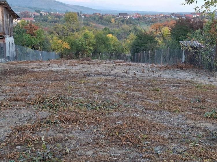 Spațiu comercial, în Valea