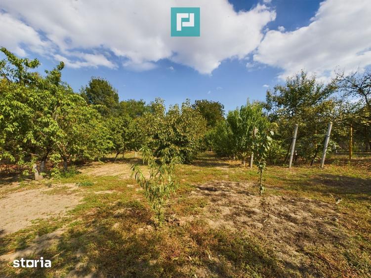 Casă cu 6 camere cu Teren 2877 Mp în Ineu