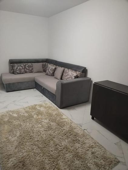 Apartament cu 2 camere decomandat în Paltin