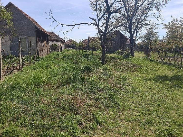 Casă cu 2 camere cu Teren 2500 Mp în Uileacu de Criș