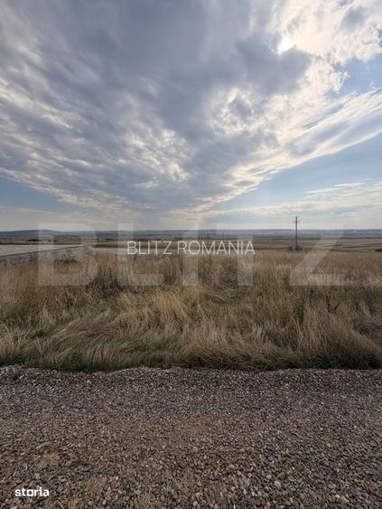 Teren extravilan - 3000 mp, front 150 ml - zona Salcea - Suceava