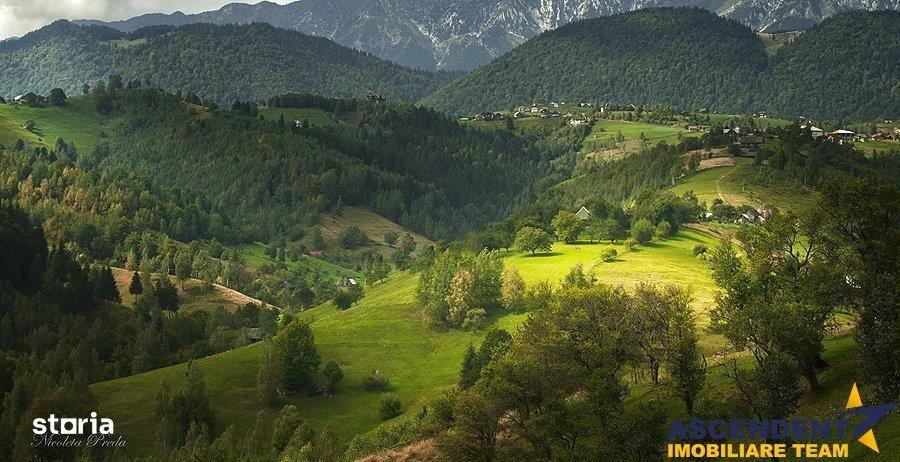 Resedinta pensiune, cu 1.000 mp teren, Pestera, Brasov - 12