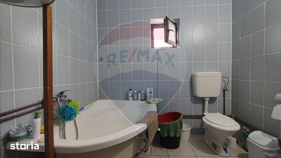 Casă cu 4 camere cu Teren 11769 Mp în Bulz