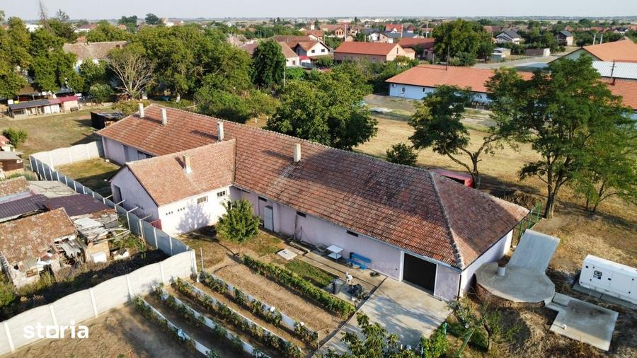 Spațiu comercial, de 382 mp, în Peciu Nou