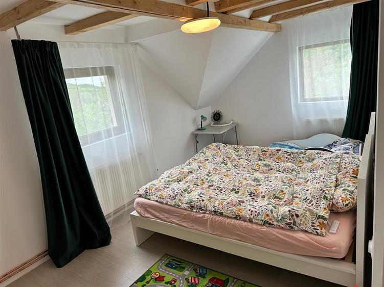Casă individuală cu 5 camere cu Teren 3029 Mp în Drajna de Sus