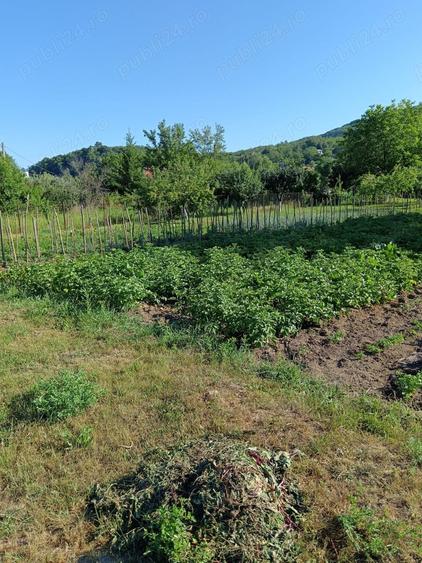 Teren de 2060 mp, în Mănicești