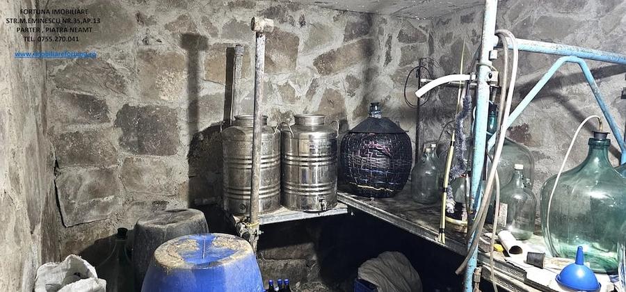 Casă cu Teren 1600 Mp în Ciritei