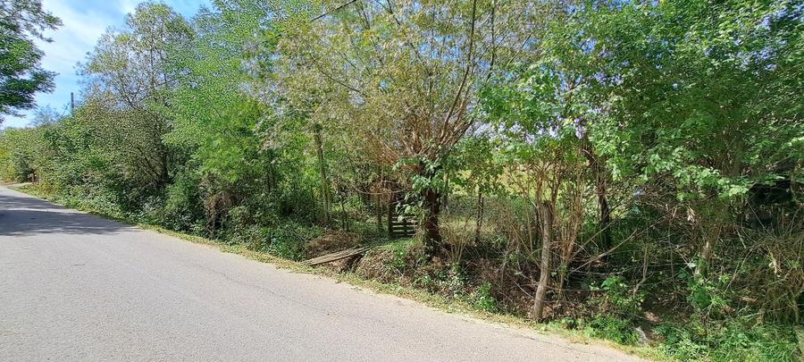 Teren de 4300 mp, în Ciurila