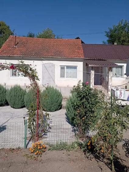 Casă cu 2 camere în Sârbi