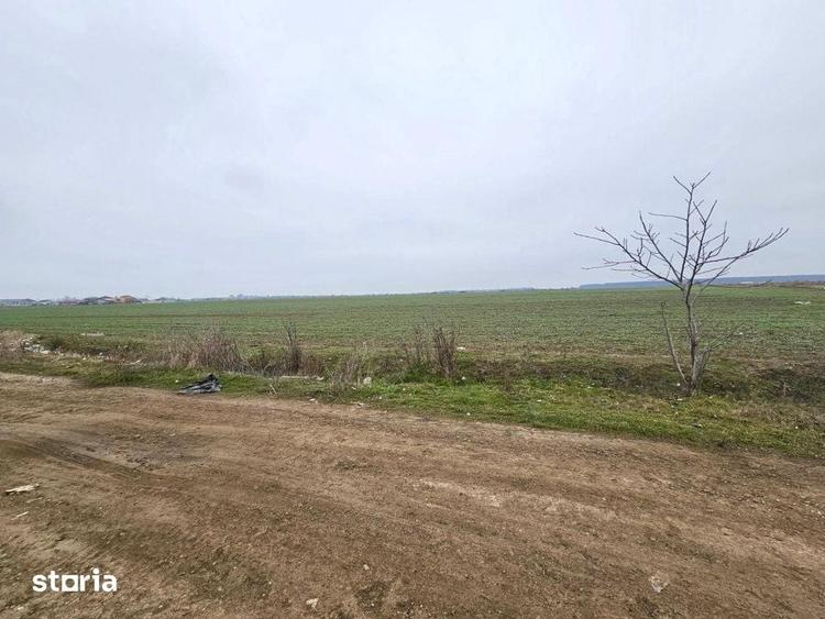 Teren de 13630 mp, în Dragomirești-Vale